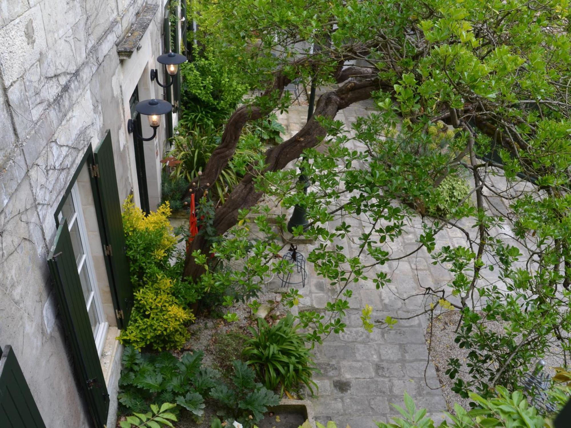 Le Mole Bed and Breakfast La Flotte Δωμάτιο φωτογραφία
